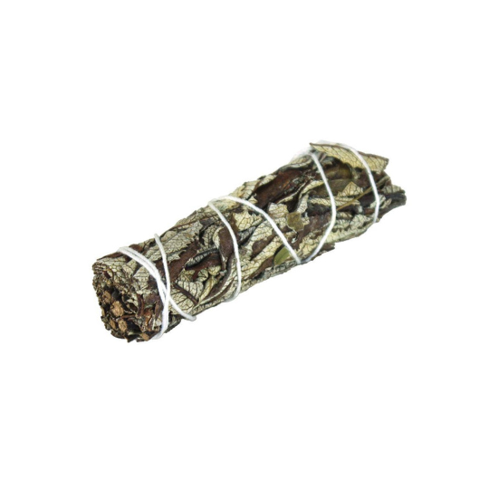 YERBA SANTA SAGE 4"