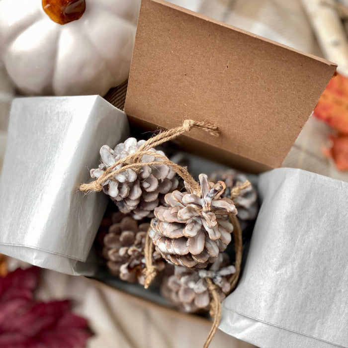 Pine cones fire starters