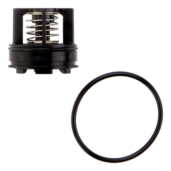 ARK 2000BM3 CK2 3/4"  2nd Check Kit