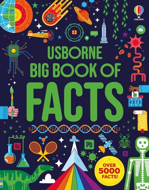 Big Book Of Facts: Usborne - Olita Gifts & Goods