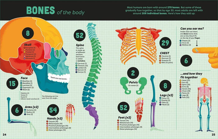 Big Book Of Facts: Usborne - Olita Gifts & Goods