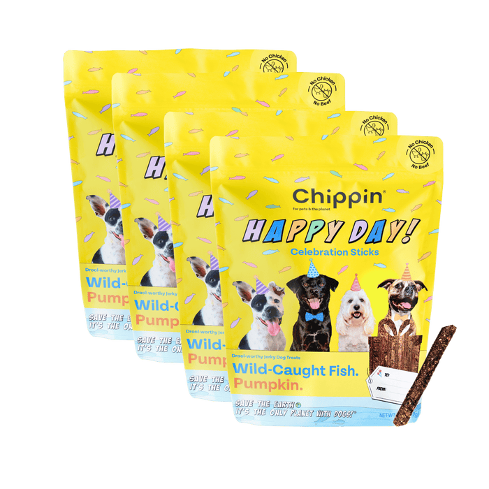 Chippin 4 Pack Birthday Dog Treats, 2-Pack