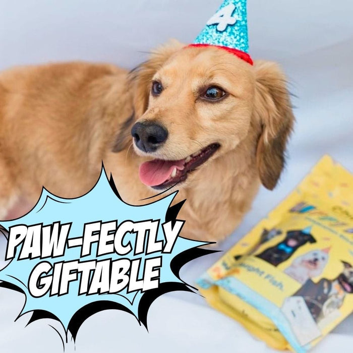 Chippin 4 Pack Birthday Dog Treats, 2-Pack