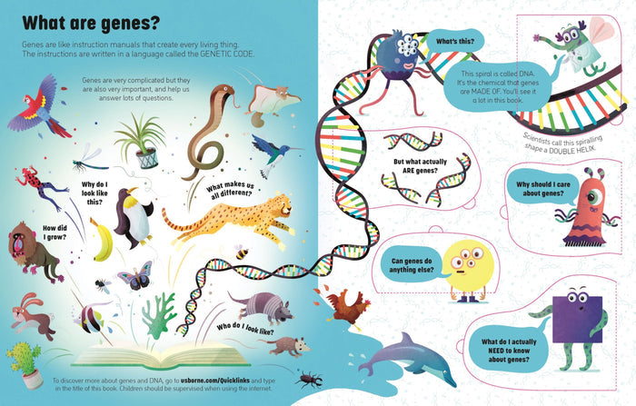 Book - See Inside Genes And DNA - Spread 2