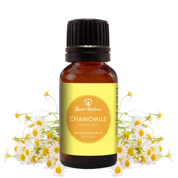 Bottle of chamomile essential oil with flowers on a white background