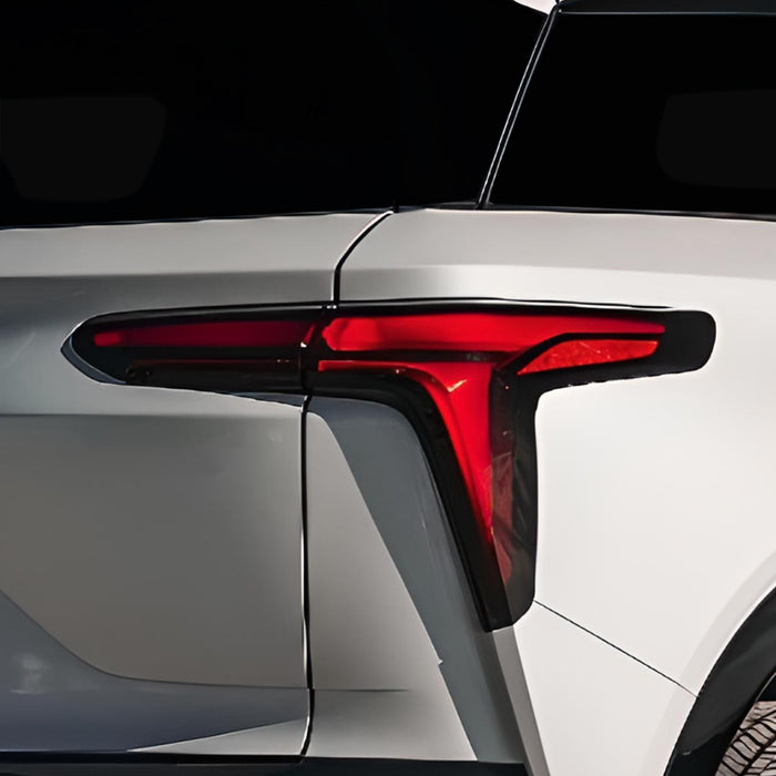 Rear Tint Kit (CLEAR)