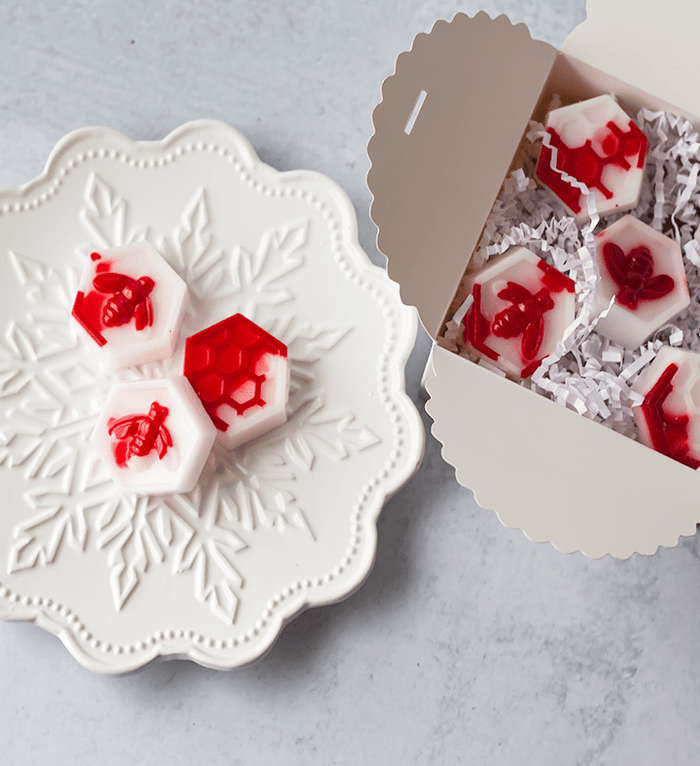 Christmas Gift Merry & Bright - Jarful House