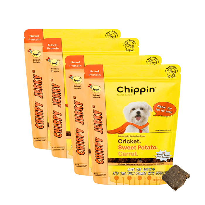 Chippin 4 Pack Cricket & Sweet Potato Jerky Dog Treats, 2 Pack