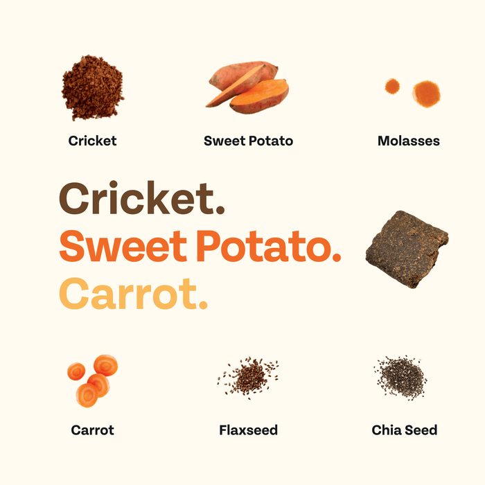 Chippin 4 Pack Cricket & Sweet Potato Jerky Dog Treats, 2 Pack