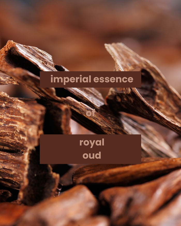Oud wood fragrance essence with rich brown wood pieces
