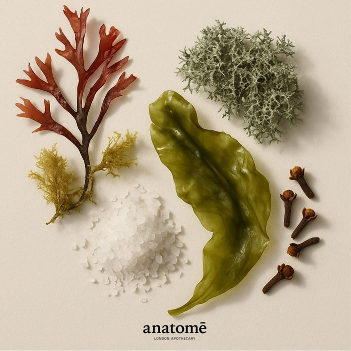 Expression Functional Parfum Travel 10ml - anatomē