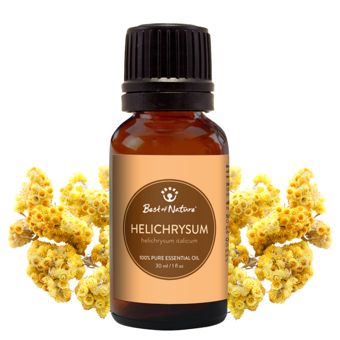 Helichrysum essential oil bottle with flowers on a white background