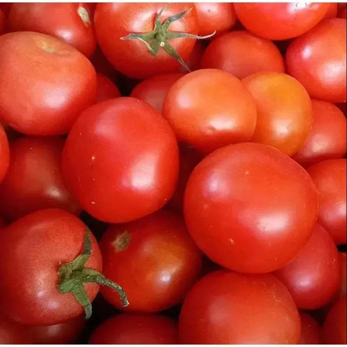 Ina Lessing Tomato Jam 500g jar with fresh tomato and spices for versatile culinary use
