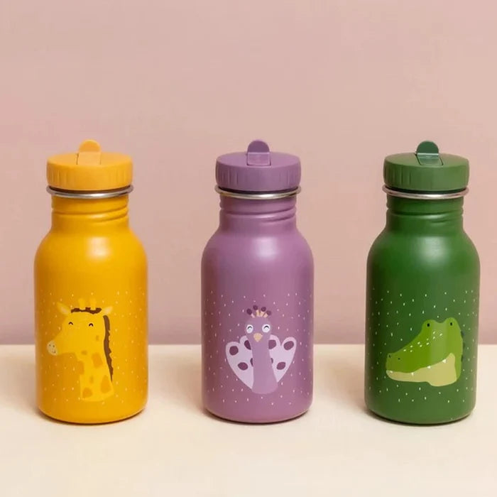 Animal Print Stainless Steel Kids' Water Bottle With Sipper Lid - 350ml
