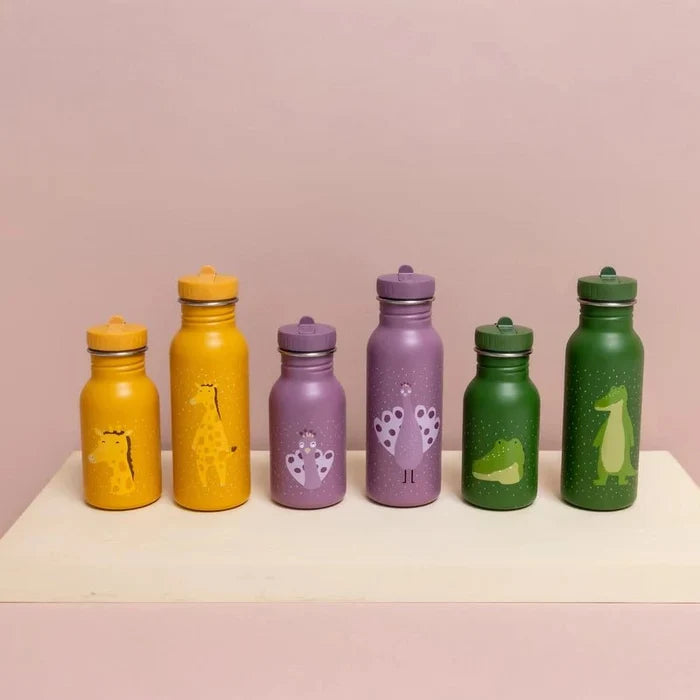 Animal Print Stainless Steel Kids' Water Bottle With Sipper Lid - 350ml
