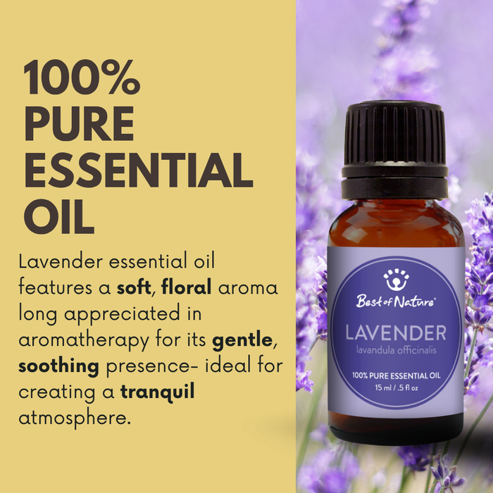 Lavender essential oil features a soft, floral aroma long appreciated in aromatherapy for its gentle soothing presence - ideal for creating a tranquil atmosphere