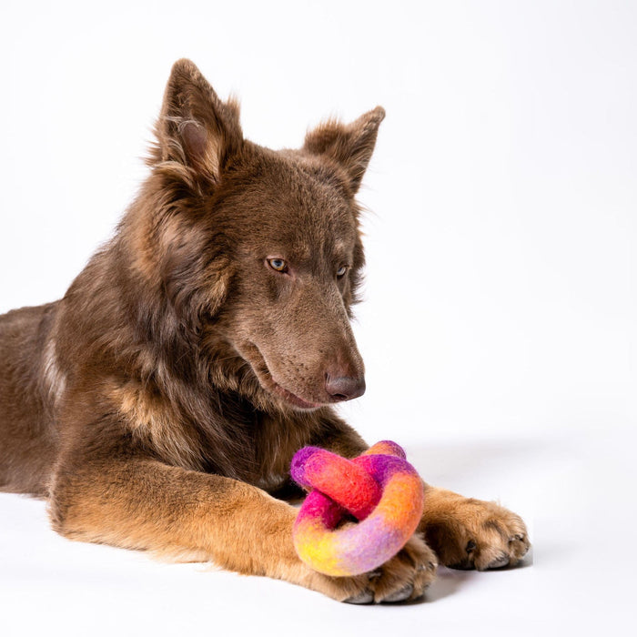 Awoo Link Felt Dog Toy