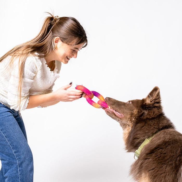 Awoo Link Felt Dog Toy