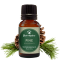 Bottle of pine essential oil with a cone and pine needles on a white background