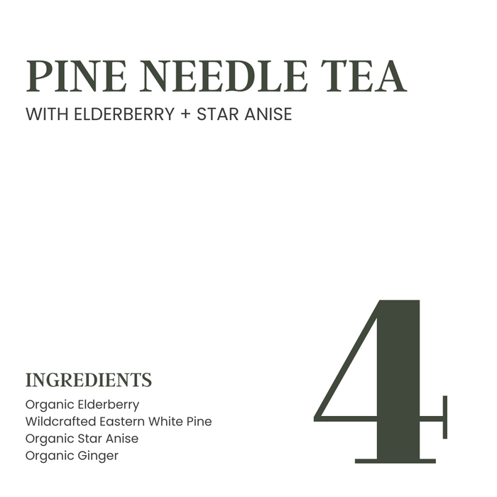 Pine Needle Tea [with Organic Elderberry + Star Anise]