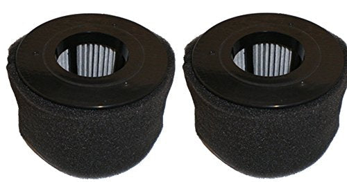 PowerEdge Replacement Vacuum Filter (Pack of 2)