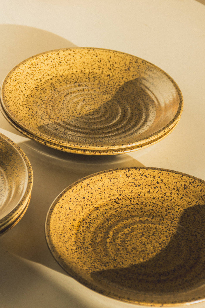 Stoneware plates: set of 4 - Magnolia Lane co. Home + Garden + Gift