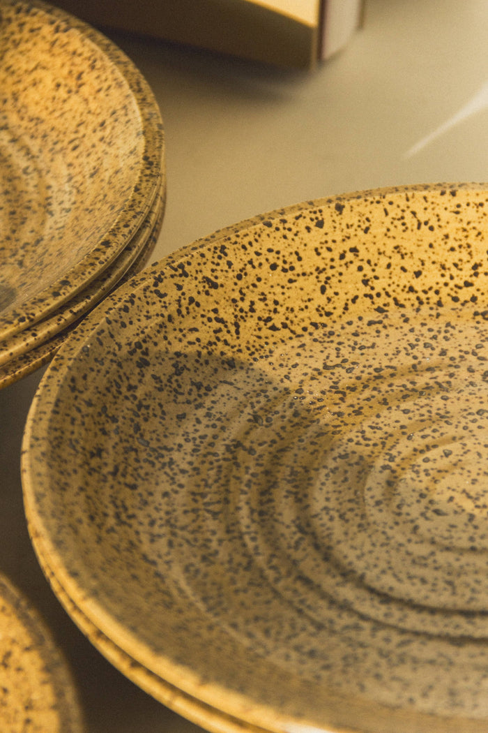 Stoneware plates: set of 4 - Magnolia Lane co. Home + Garden + Gift