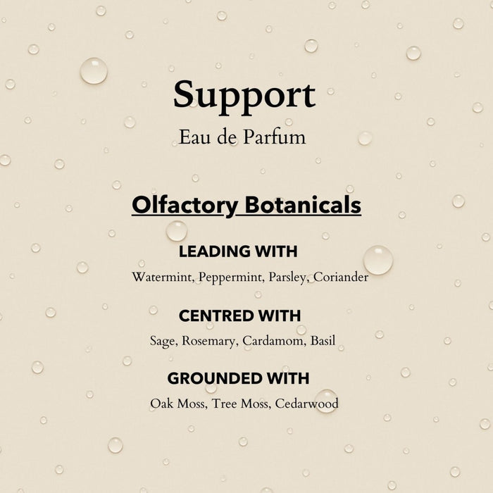 Support Functional Parfum 10ml - anatomē