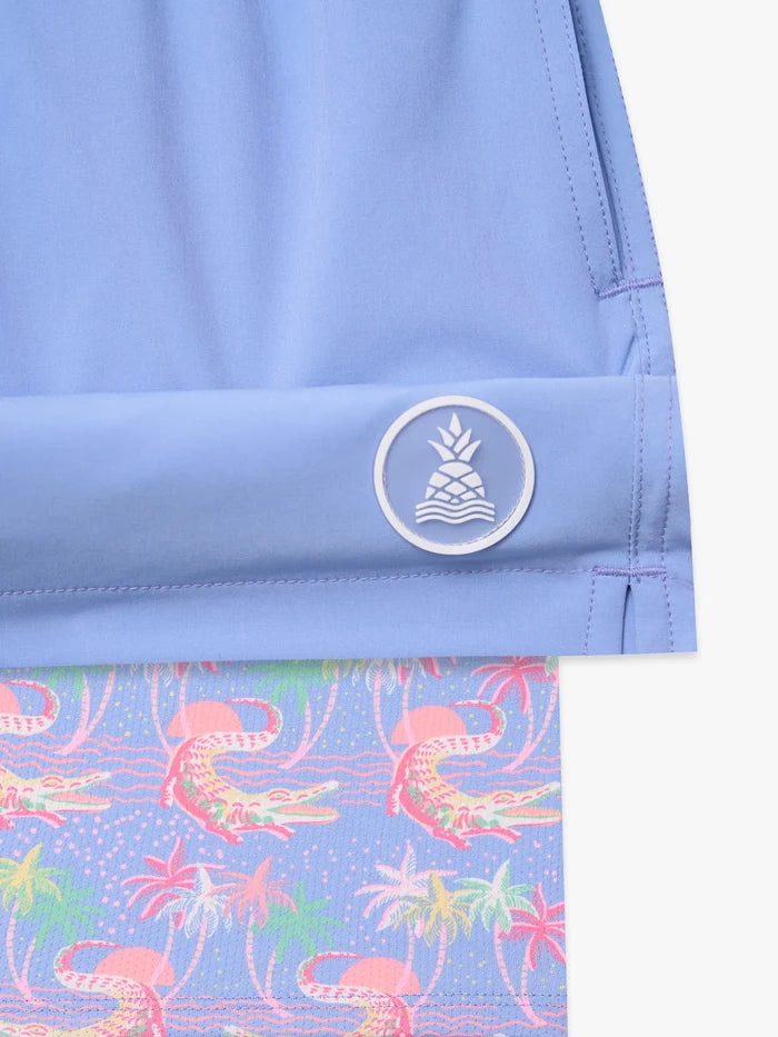 The Alpine Skies 5.5" (Classic Lined Swim Trunk w/ SP WB) - Image 3 - Chubbies Shorts