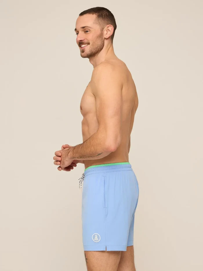 The Alpine Skies 5.5" (Classic Swim Trunk w/ SP WB) - Image 3 - Chubbies Shorts