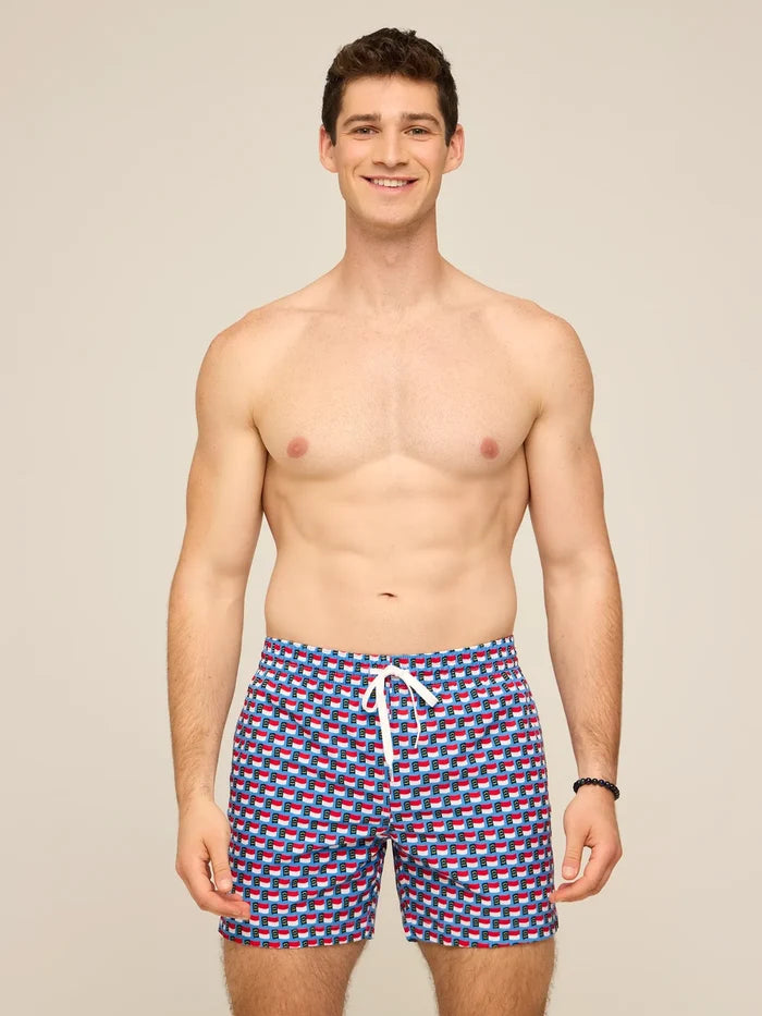 The Blue Ridge Bliss 5.5" (Classic Lined Swim Trunk) - Image 4 - Chubbies Shorts
