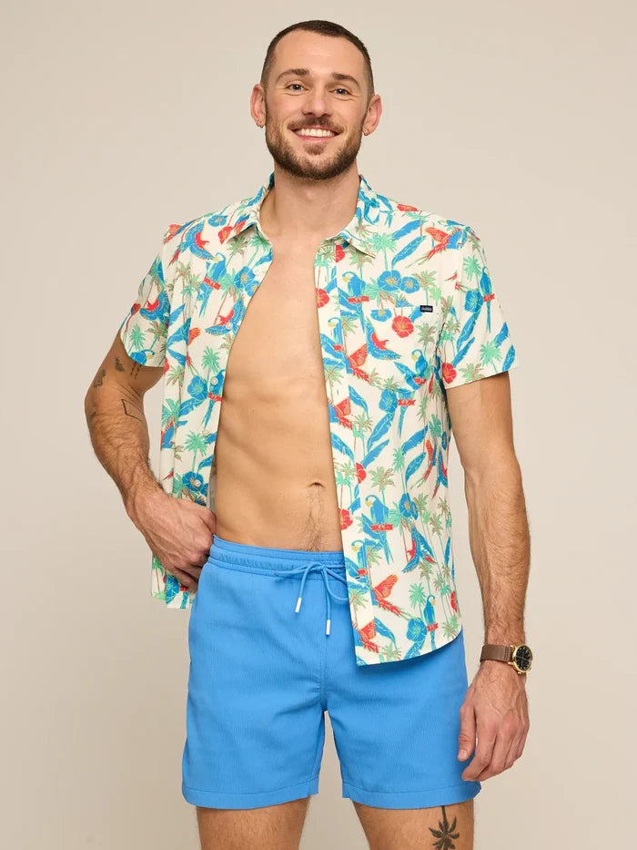 The Cascade Coolers 5.5" (Textured Lined Swim) - Image 1 - Chubbies Shorts