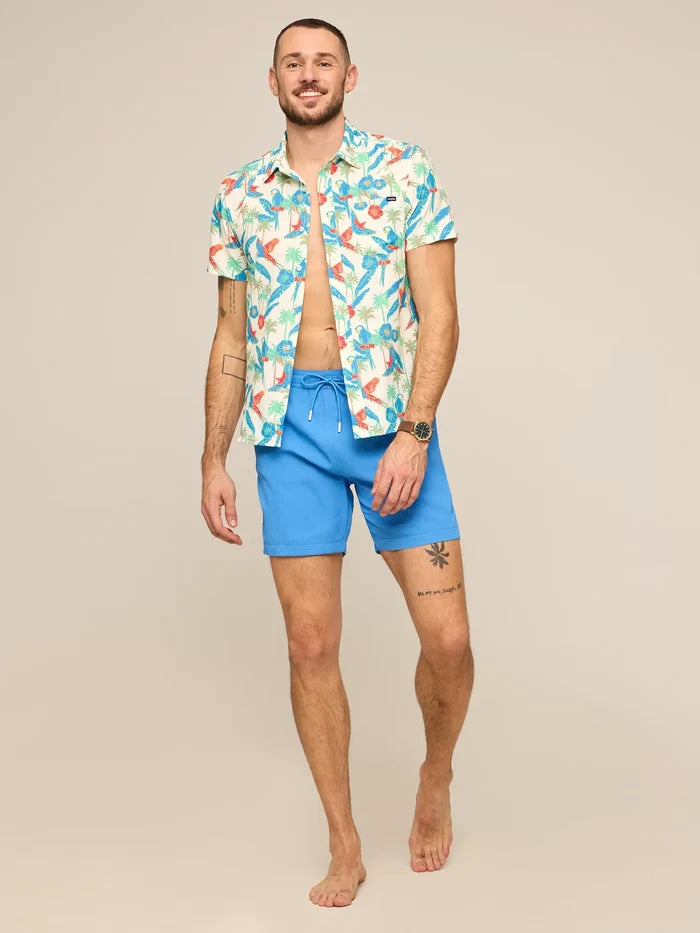 The Cascade Coolers 7" (Textured Lined Swim) - Image 5 - Chubbies Shorts