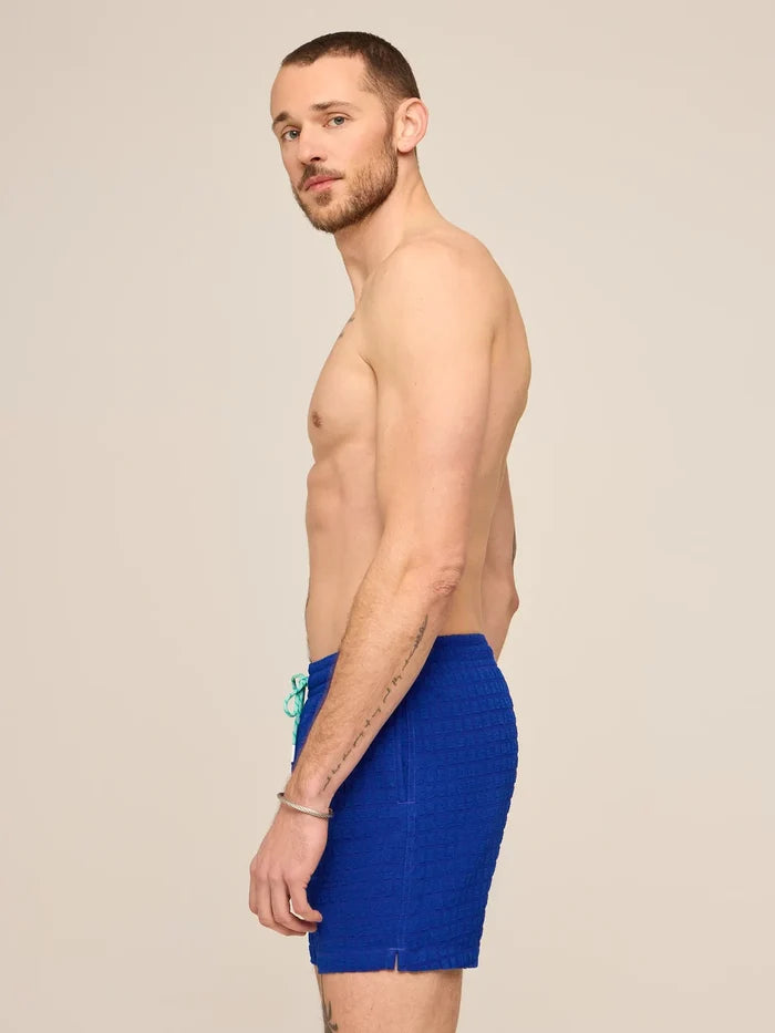 The Citrus Punches 5.5" (Grid Lined Swim) - Image 3 - Chubbies Shorts