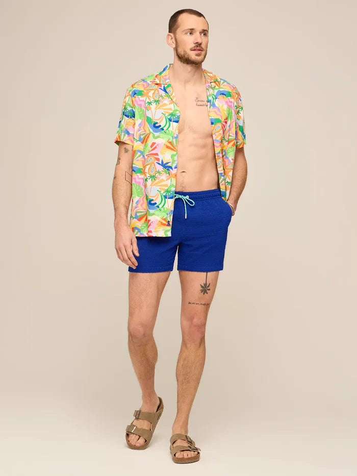 The Citrus Punches 5.5" (Grid Lined Swim) - Image 6 - Chubbies Shorts
