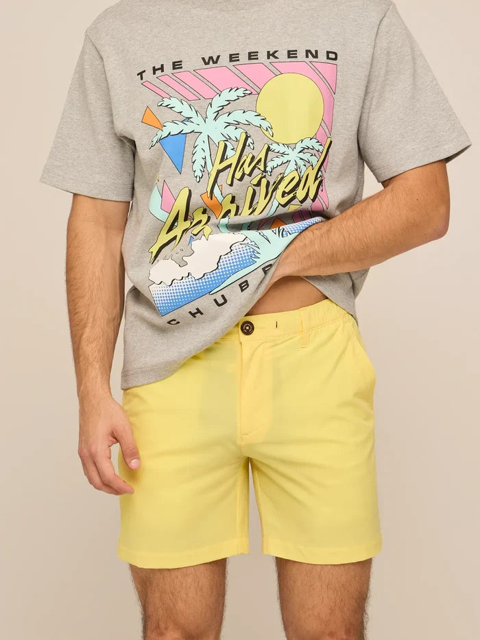 The Dandelions 6" (Everywear Performance Short) - Image 1 - Chubbies Shorts