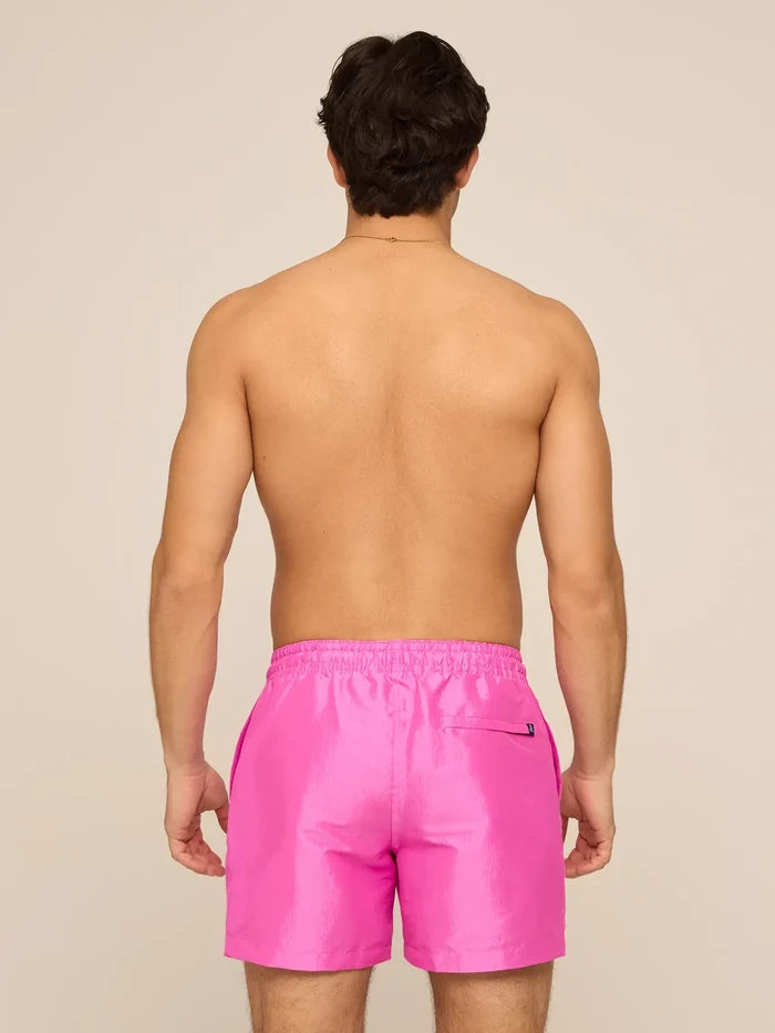 The Disco Plums 5.5" (Lined Metallic Swim) - Image 2 - Chubbies Shorts