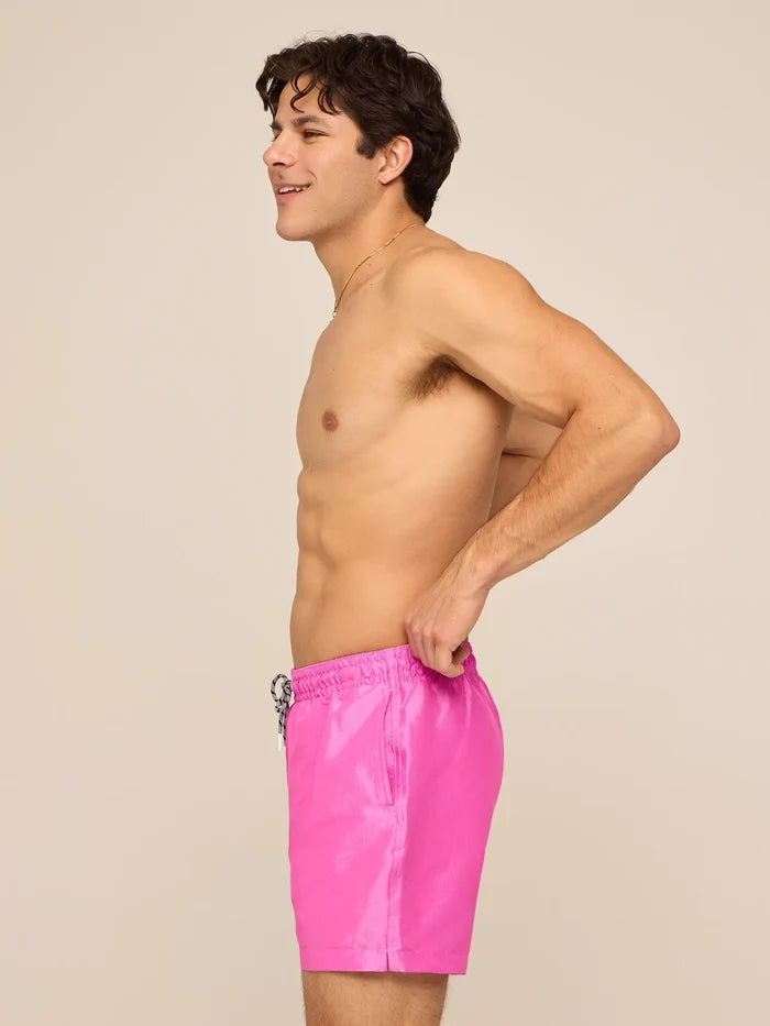 The Disco Plums 5.5" (Lined Metallic Swim) - Image 3 - Chubbies Shorts