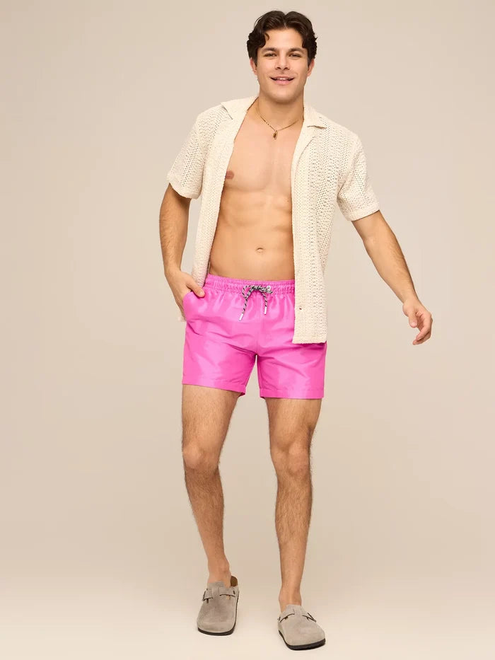 The Disco Plums 5.5" (Lined Metallic Swim) - Image 5 - Chubbies Shorts