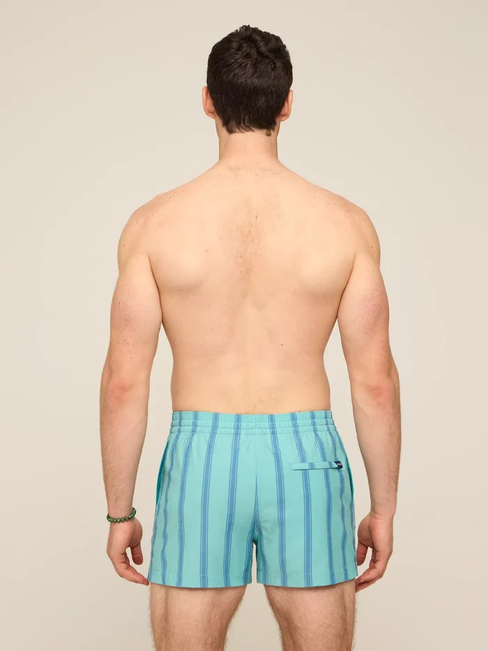 The Everpine Stripes 4" (Classic Lined Swim Trunk) - Image 2 - Chubbies Shorts