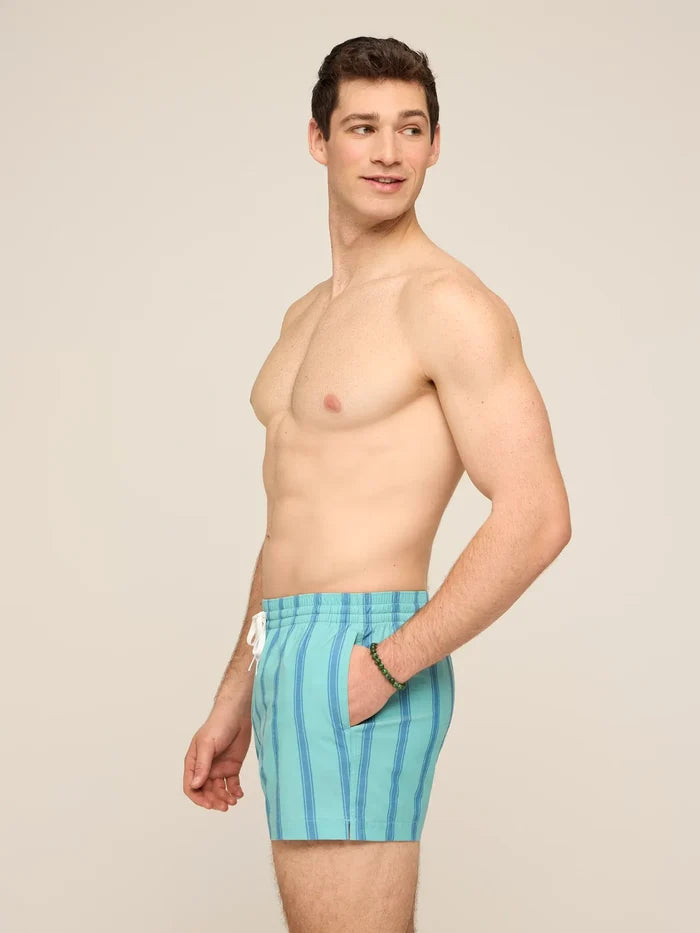 The Everpine Stripes 4" (Classic Lined Swim Trunk) - Image 3 - Chubbies Shorts