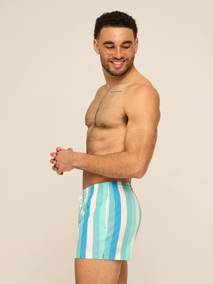The Eversea Stripes 4" (Classic Lined Swim Trunk) - Image 3 - Chubbies Shorts