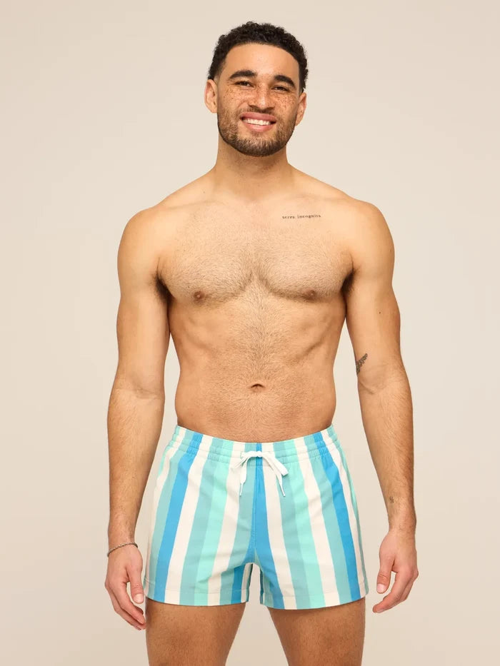 The Eversea Stripes 4" (Classic Lined Swim Trunk) - Image 4 - Chubbies Shorts