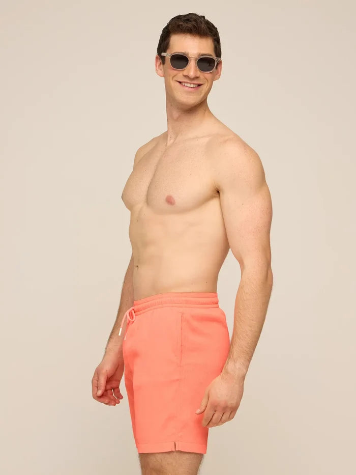 The Nectar Glows 7" (Textured Lined Swim) - Image 3 - Chubbies Shorts