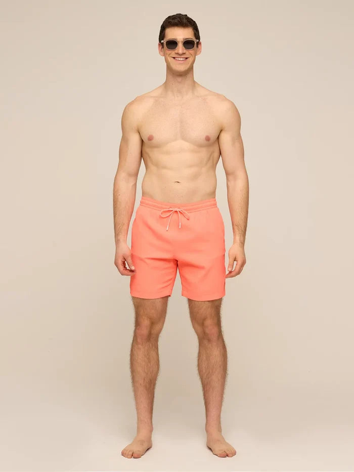 The Nectar Glows 7" (Textured Lined Swim) - Image 4 - Chubbies Shorts