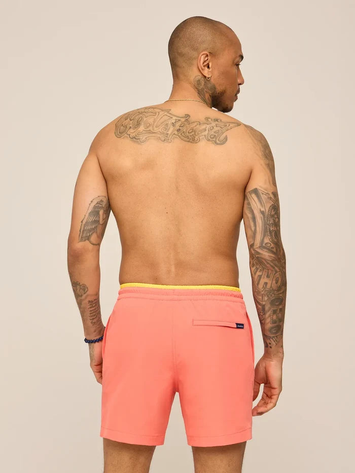The Peach Perfects 5.5" (Classic Lined Swim Trunk w/ SP WB) - Image 2 - Chubbies Shorts