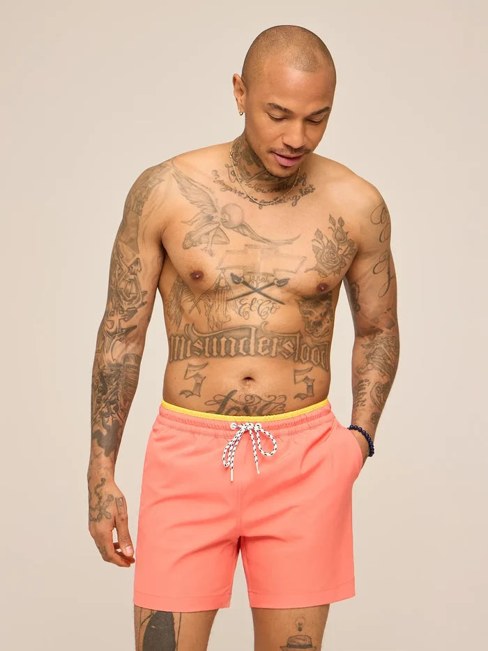 The Peach Perfects 5.5" (Classic Lined Swim Trunk w/ SP WB) - Image 4 - Chubbies Shorts