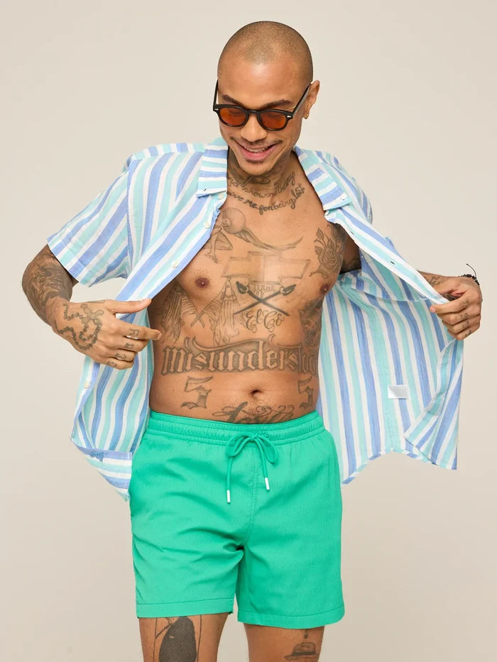 The Real Teals 5.5" (Textured Lined Swim) - Image 5 - Chubbies Shorts
