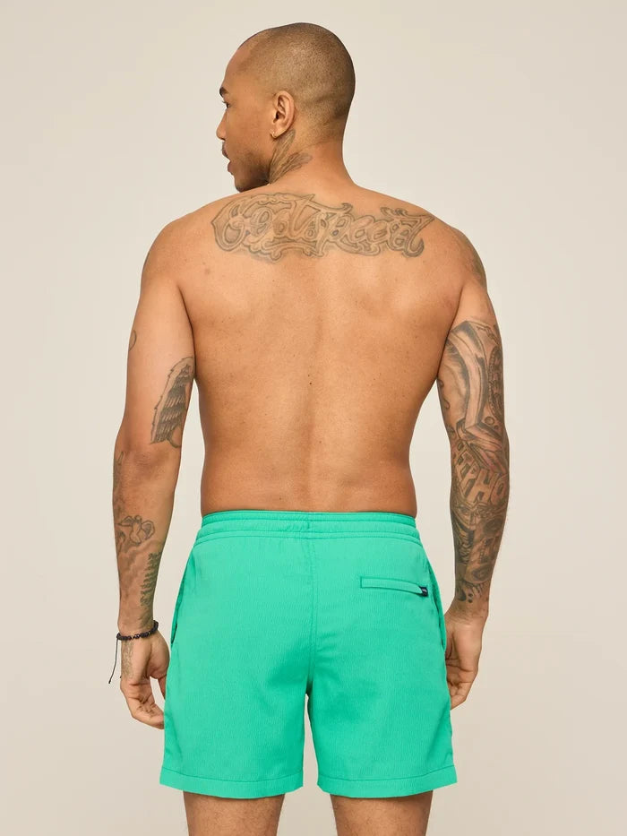 The Real Teals 5.5" (Textured Lined Swim) - Image 2 - Chubbies Shorts