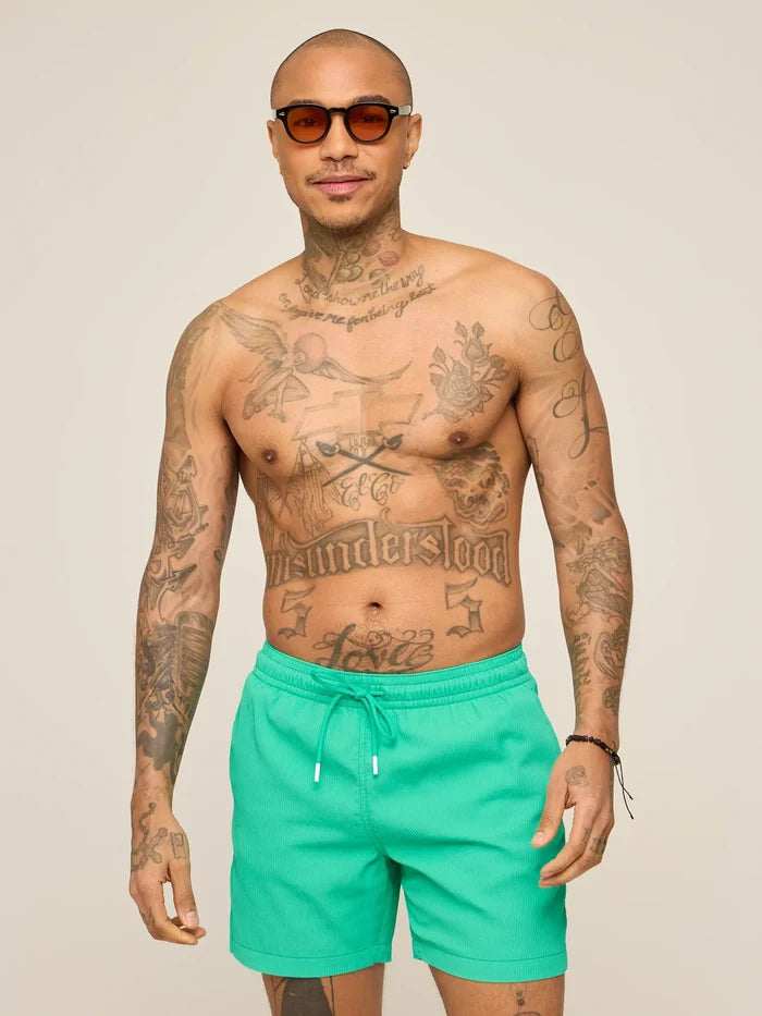 The Real Teals 5.5" (Textured Lined Swim) - Image 3 - Chubbies Shorts